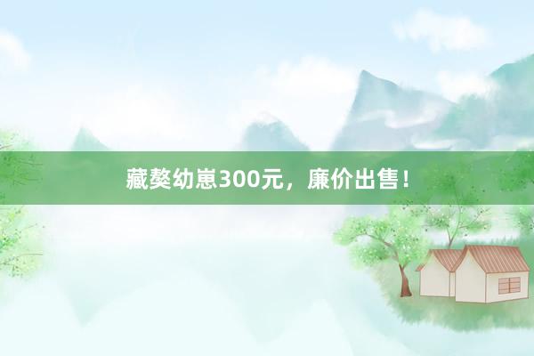 藏獒幼崽300元，廉价出售！
