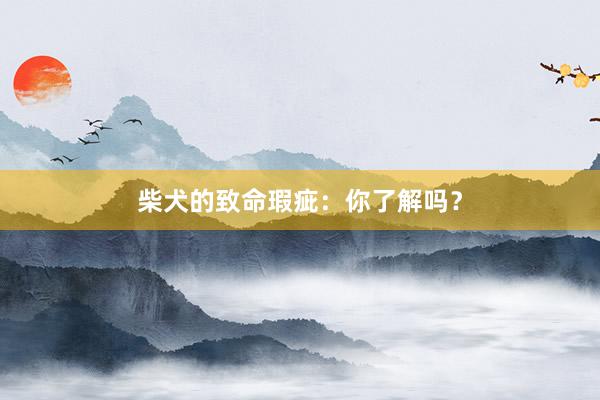 柴犬的致命瑕疵：你了解吗？