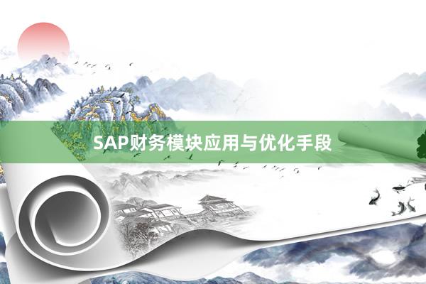 SAP财务模块应用与优化手段