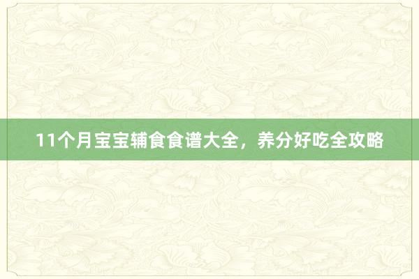 11个月宝宝辅食食谱大全，养分好吃全攻略