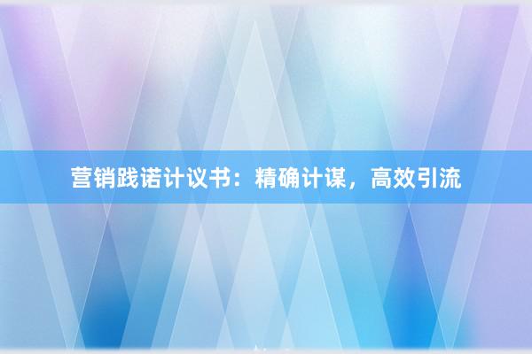 营销践诺计议书：精确计谋，高效引流